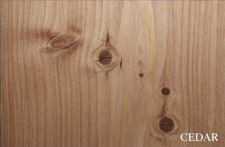 Cedar