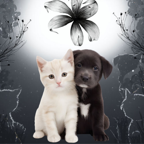 Furbabies Forever Friends: The Furbaby Memorial